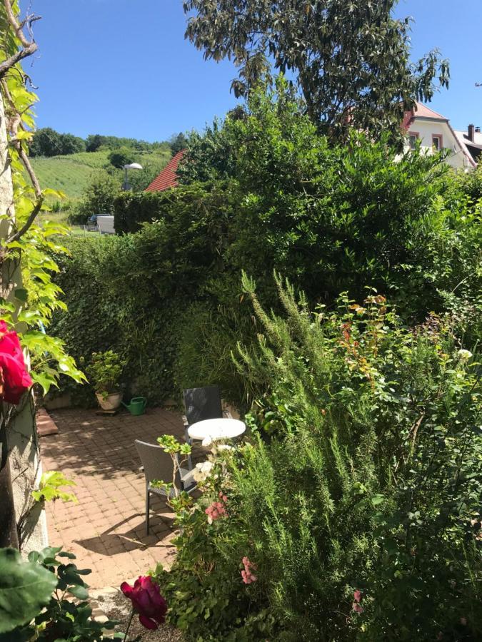 Gartenwohnung Гундельфинген Экстерьер фото